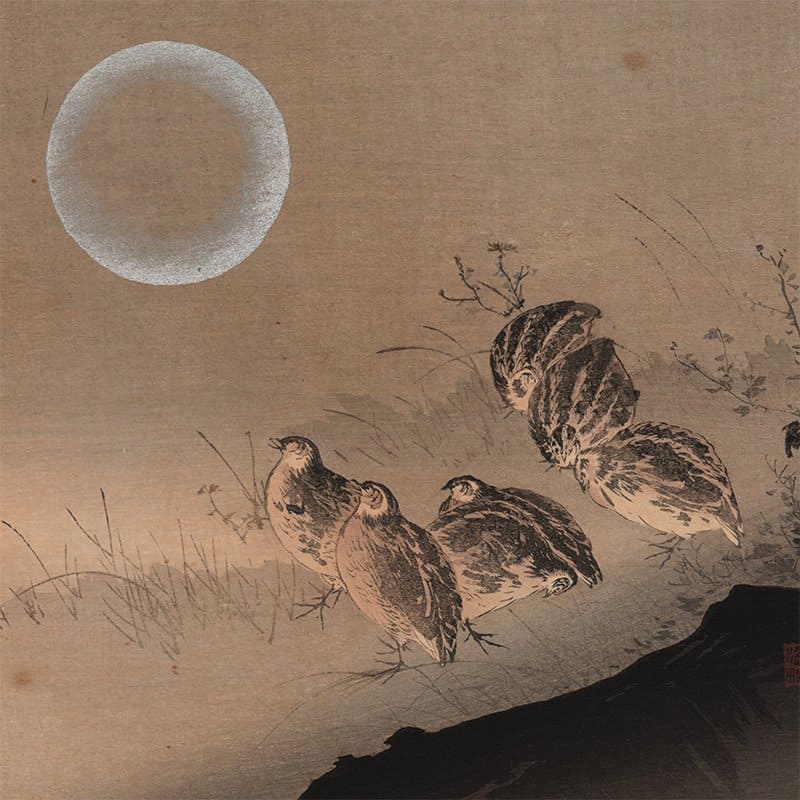 Ptaki i księżyc w japońskiej sztuce Artykuł o 10 przysłowiach / idiomach japońskich - mądrość mono no aware, zen i historii w znakach. Japonia w słowach.