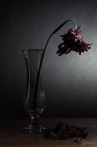 The Tragedy of Izanami and the Fury of Izanagi in the Land of Decay – In Japanese Creation Myths, Death Always Wins Japanese Creation Myth about Izanagi, Izanami and the land of Yomi.