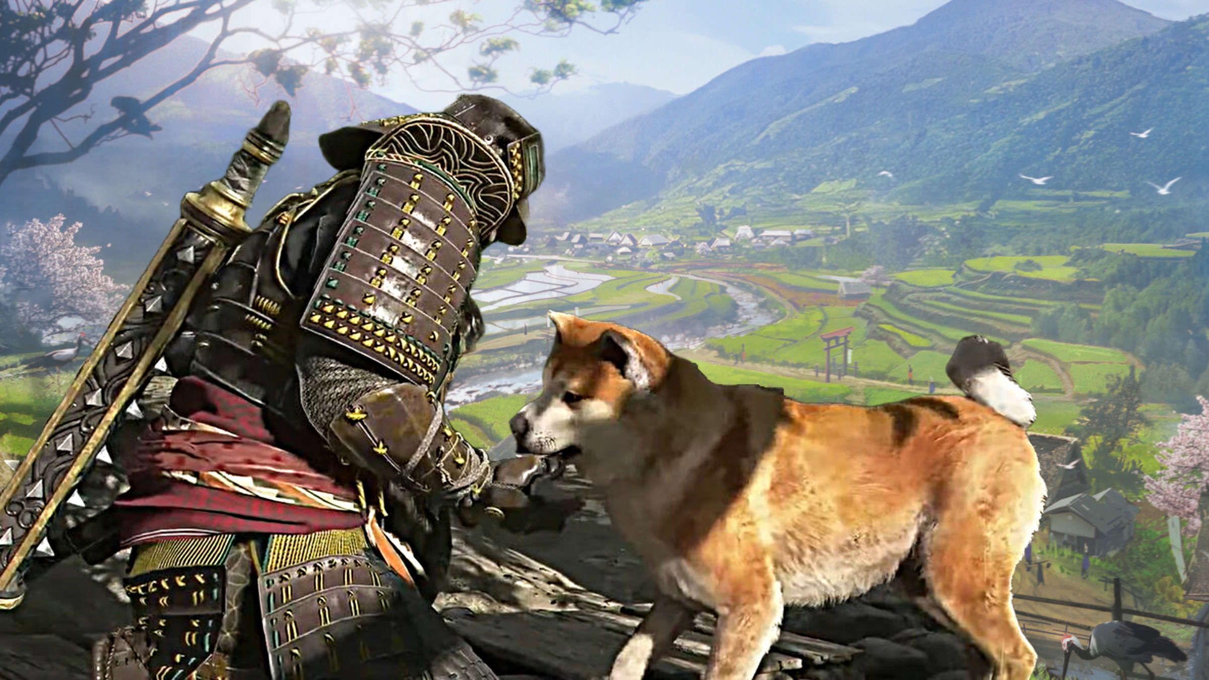 Akita inu i samuraj Esej o japońskiej rasie psa akita inu - od czasów Jomon, przez samurajskie bitwy, aż po legende Hachiko - poznaj niesamowitego psa akita inu.