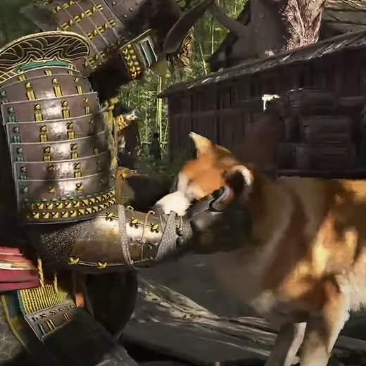 Akita inu, przyjeciel samuraja Esej o japońskiej rasie psa akita inu - od czasów Jomon, przez samurajskie bitwy, aż po legende Hachiko - poznaj niesamowitego psa akita inu.