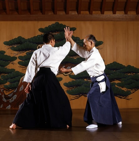 Jujutsu - pozycja przechwytu. Esej o japońskiej szkole Takenoushi-ryu w stylu jujutsu, w którym szkolili się samuraje okresu sengoku w Japonii.