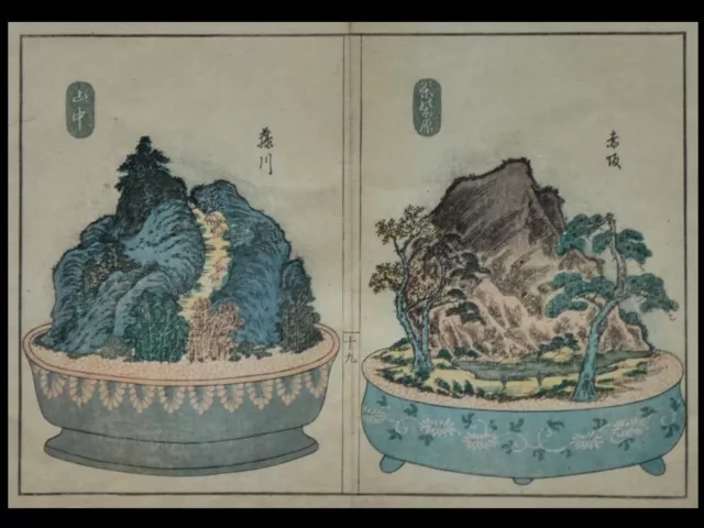 Drzewka bonsai wjako Tokaido Jak Japończycy słuchają drzew? - Relacja między człowiekiem a drzewami w sztuce ukiyo-e i japońskiej kulturze.