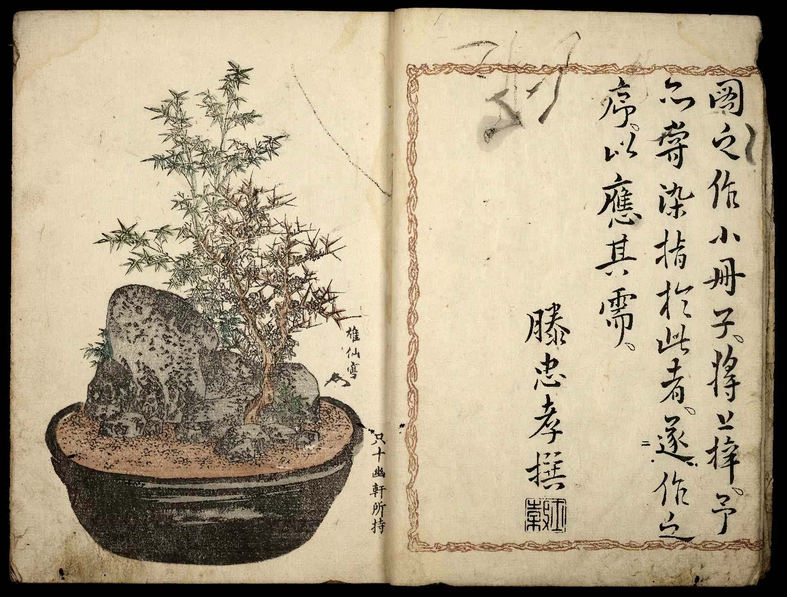 Tokkaido w bonsai na ukiyo-e Jak Japończycy słuchają drzew? - Relacja między człowiekiem a drzewami w sztuce ukiyo-e i japońskiej kulturze.