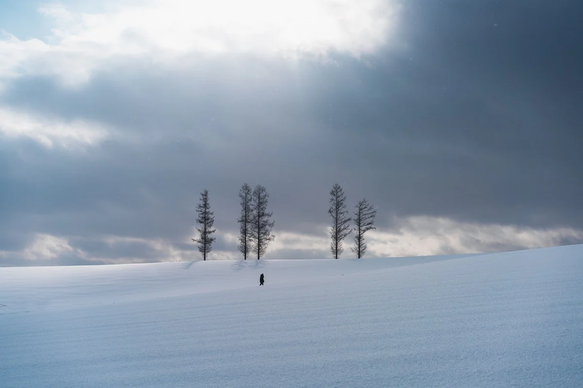 Krajobraz zimy na Hokkaido Felieton o japońskiej poezji (waka, haiku) na temat zimy i zimowej introspekcji, odczuciom mono no aware, pustki zen.