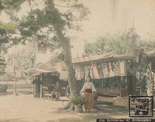 Dawna Japonia na stronie trzeciej. Awantury, oszustwa i nocne perypetie w gazetach epoki Meiji Japonia Meiji z kroniki miejskiej gazet. Dziewczyna wyrzucona z mostu Eitai, kurtyzana gryząca policjanta, rodzina, która zjadła osiemdziesiąt jenów w zupie - perypetie ze strony trzeciej.