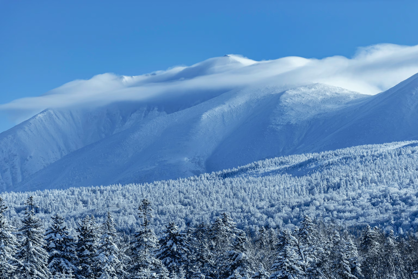 Mroźny, zimowy pejzaż japońskiej Hokkaido Historia jedynej na świecie demokracji japońskich samurajów: Republika Ezo i jej krótkie, acz burzliwe losy