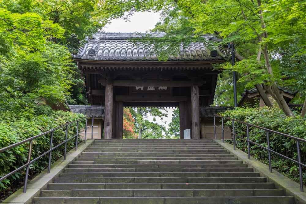 Polując na czas. Jesienne spacery momijigari jako lekcja japońskiej uważności. Momijigari to jesienne spacery wśród barwnych klonów, łączące tradycję, uważność i świadomość przemijania. O japońskim „polowaniu na czas”.