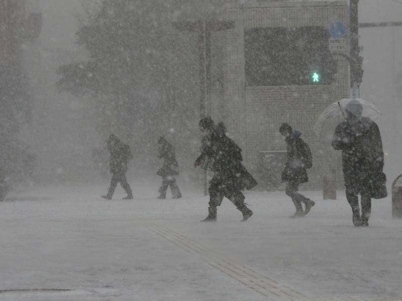 Winter Whispering Dreams: 10 Names for Snow in the Japanese Language 10 names for snow in Japanese language - how snow can be a space for thought, meditation and mono no aware feelings.