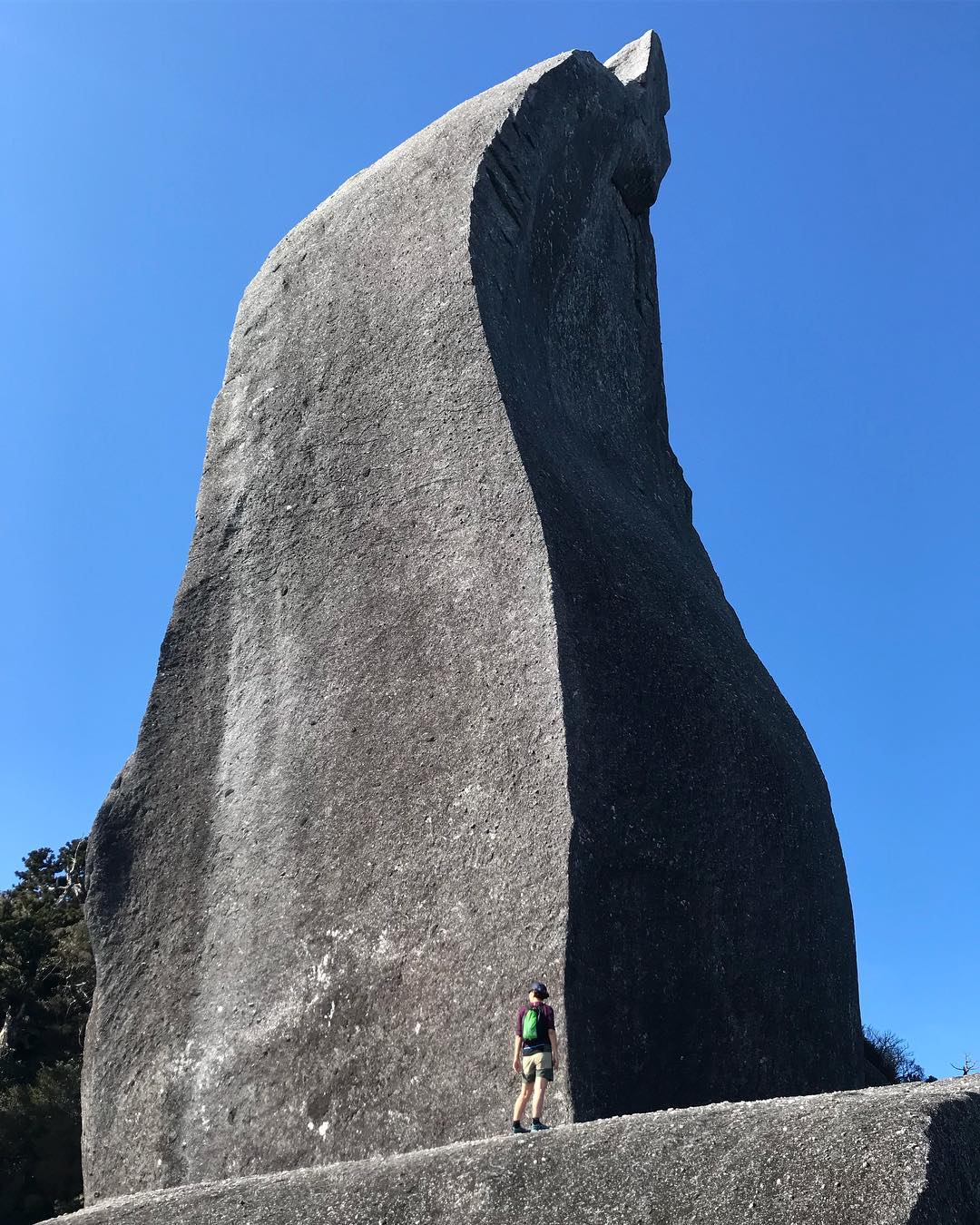 Wspinaczka na Yakushimie, Japonia. Artykuł o japońskiej wyspie Yakushima, gdzie odnajdziemy pradawną naturę Japonii, inspirację anime "Księżniczka Mononoke" (Mononoke Hime( Hayao Miyazakiego.
