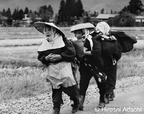 Goze: Blind Female Artists of Feudal Japan – Dignity in a Journey through Snow and Rejection Discover the story of the goze – blind female artists of feudal Japan. Their lives were marked by strict discipline, wandering, and dignity reclaimed through art.