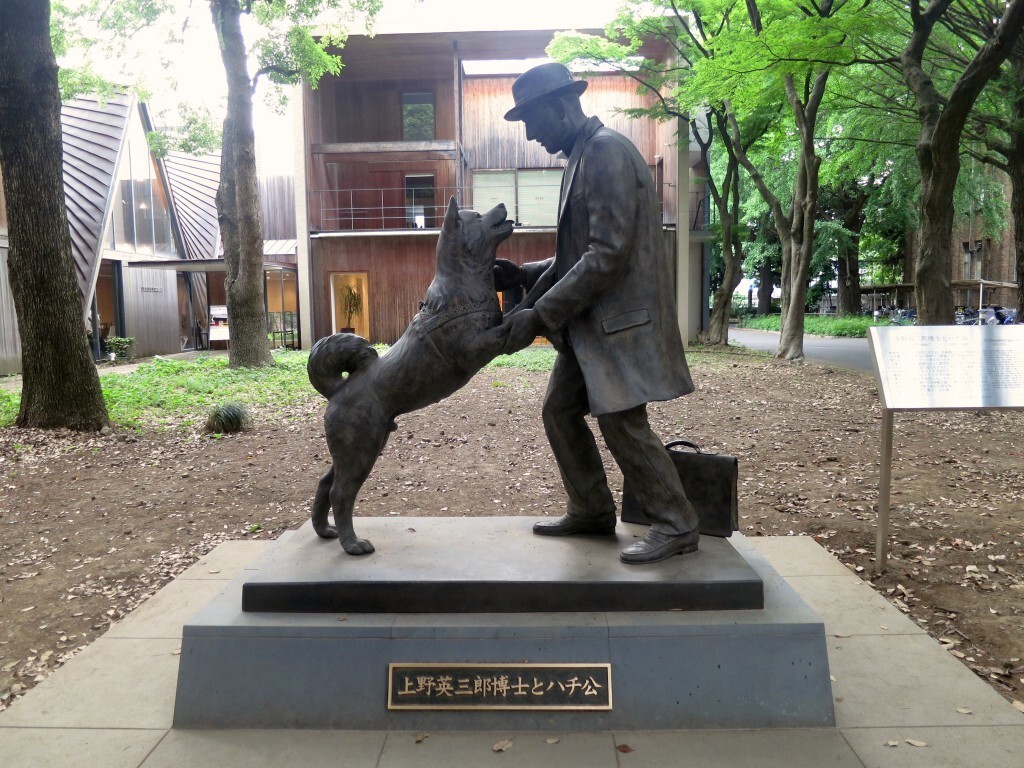 Pomnik Hachiko Esej o japońskiej rasie psa akita inu - od czasów Jomon, przez samurajskie bitwy, aż po legende Hachiko - poznaj niesamowitego psa akita inu.
