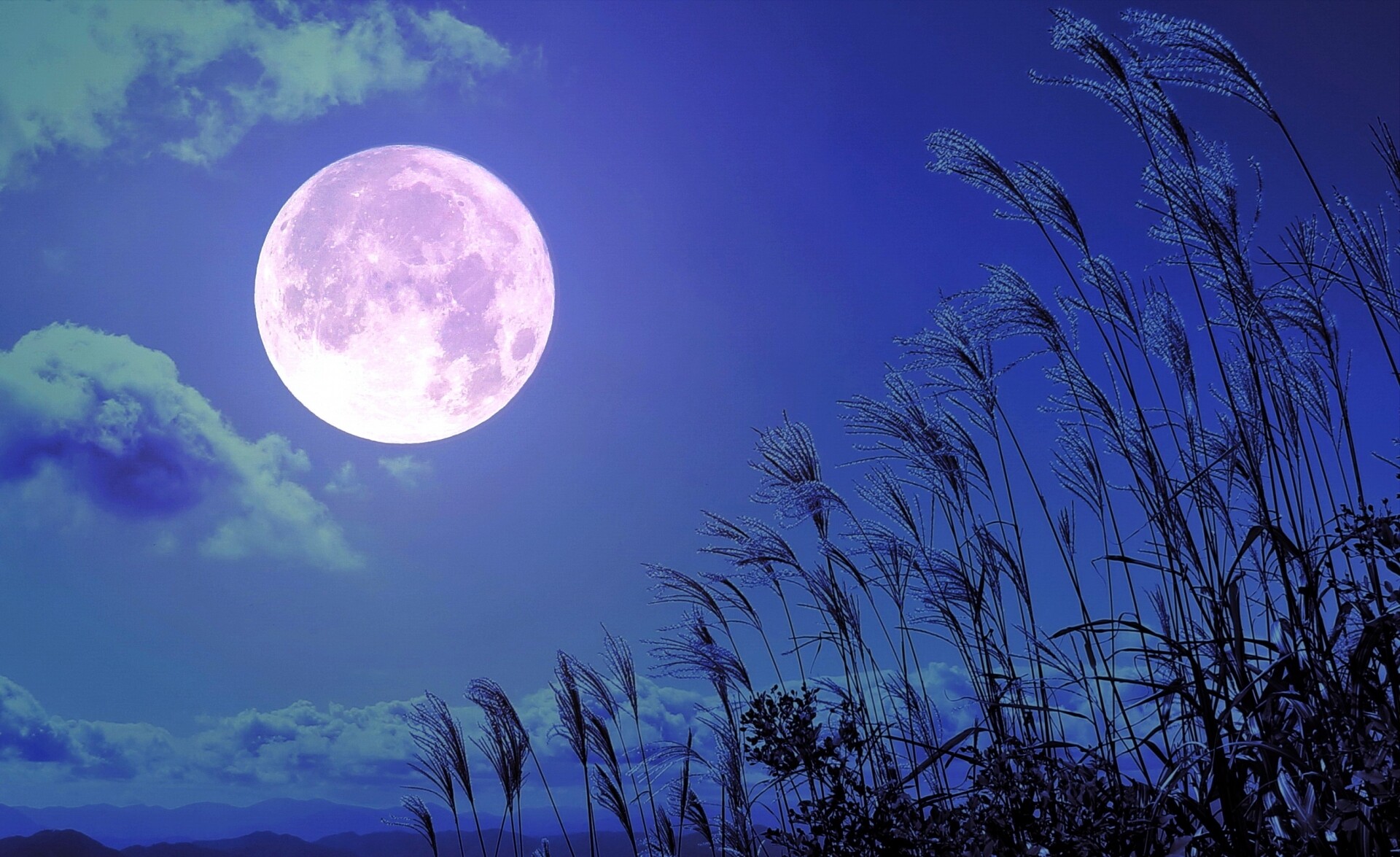 Wąska ścieżka, szeroki oddech. Na północ — w głąb kraju i siebie — z mistrzem Bashō „Oku no hosomichi” Matsuo Bashō jako opowieść o zmęczeniu rolami i o tym, co robi z człowiekiem droga: od Edo po północ Japonii, z haibun i hokku w tle. Esej o zachwycie, dyscyplinie marszu i nietrwałości (mujō)