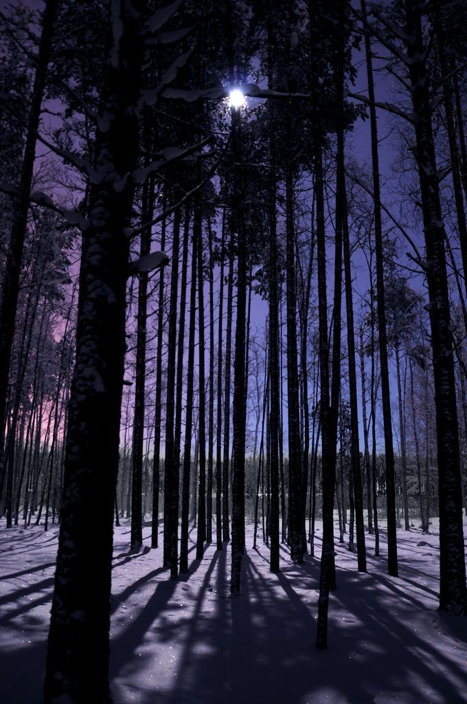 „Śnieżna kobieta” yuki-onna – bolesne piękno i pozaludzka obojętność Yuki-onna (雪女) bez uproszczeń: kanji, źródła i „Kwaidan” Hearna, a potem biel, zimno i kobieta jako „Inna” – od folkloru po popkulturę i ekologiczną wrażliwość.