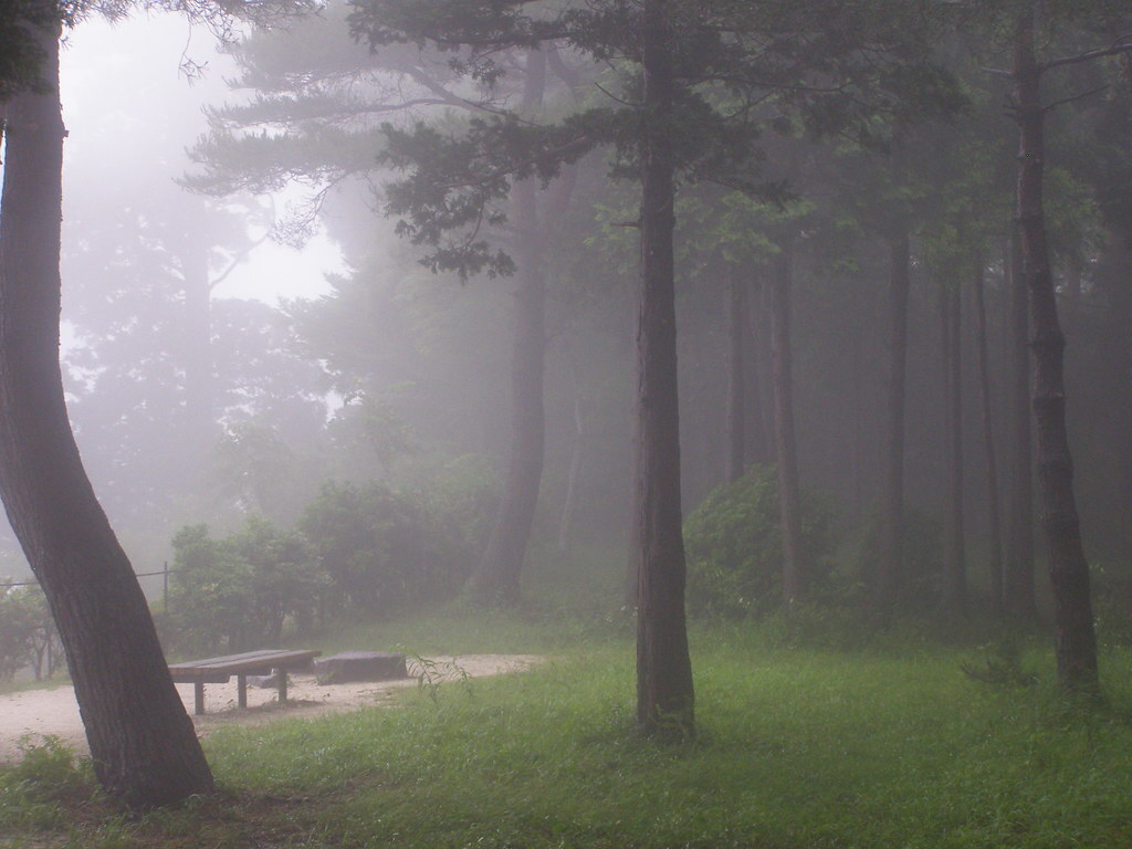 Dzień na stacji kontrolnej sekisho. Jak shōgunat rządził procedurą, nie mieczem Sekisho w Hakone: strażnicy, pieczęcie i przepustki, rewizje bagażu oraz reguła „入り鉄砲に出女”. Jak shōgunat Tokugawów kontrolował ruch ludzi, broń i „wyjeżdżające kobiety”.