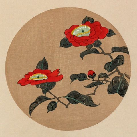 Tsubaki, czyli kamelia - kwiat, którego samuraje się bali czy kochali? Kamelia w Japonii miała być kwiatem przeklętym - opadająca główka kojarzyła się z odciętą głową samuraja. Tę legendę powtarza dziś cały świat. Tyle że w epoce Edo shōgunowie hodowali tysiące odmian kamelii, a samuraje byli głównymi klientami szkółek.