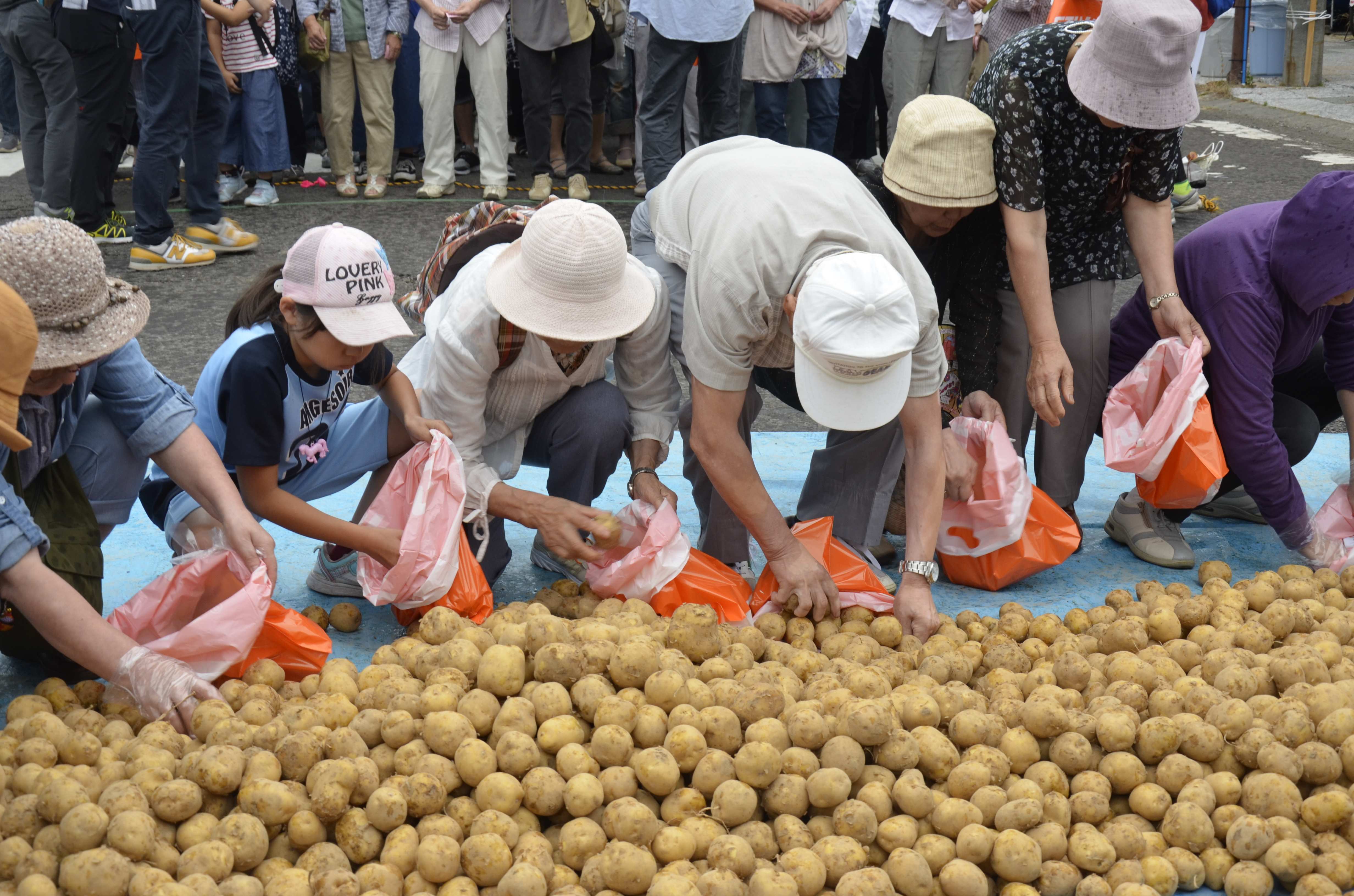 Festiwal ziemniaka w Japonii: kartoflane tańce Jaga Matsuri pod górą Yōtei Poznaj japońskie Jaga Matsuri – niezwykły festiwal ziemniaka w Kutchan na Hokkaidō. Tańce, parady i kartoflana radość u stóp góry Yōtei!