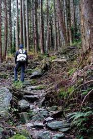 Wspinaczka w Japonii Tamae Watanabe - kobieta, która zdobyła Mount Everest w wieku 73 lat - poznajmy jej inspirujące osiągnięcia i filozofię życia.