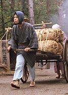 Zanim Iga stała się legendą shinobi. Życie i zasady w wiosce najemników epoki Sengoku Mgła nad kotliną Iga, wiosna 1561. Jeden dzień we wsi wynajmującej ludzi do nocnych napadów: 650 warowni, spisany kodeks i przysięga wypijana razem z popiołem.