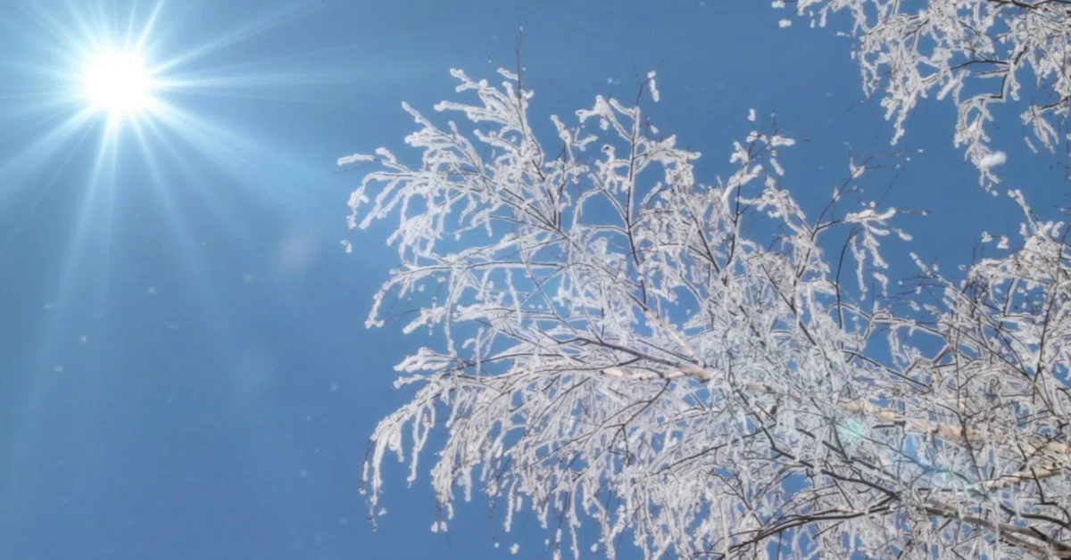 Słownik zachwytów – 15 japońskich słów na drobne chwile, które warto zapamiętać Japoński język pełen jest słów dla chwil, które łatwo przeoczyć. 15 nazw drobnych cudów natury, które pozwalają widzieć więcej.