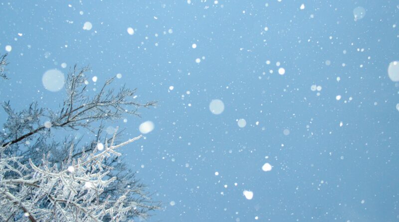 Słownik zachwytów – 15 japońskich słów na drobne chwile, które warto zapamiętać Japoński język pełen jest słów dla chwil, które łatwo przeoczyć. 15 nazw drobnych cudów natury, które pozwalają widzieć więcej.