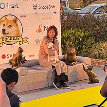 Kabosu Doge - Shiba Inu Esej o japońskiej rasie psów Shiba Inu - ich początkom w okresie Jomon, historii u boku samurajów aż po internetowe memy i virale.