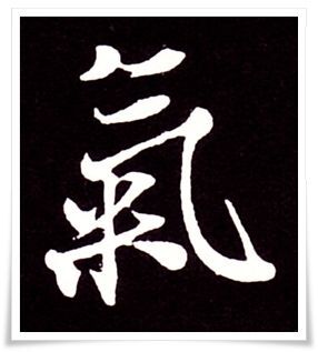 A Heart of Iron. The Samurai Dō Breastplates An Essay on Samurai Breastplates "Dō" – Their Construction, Types, and History from Antiquity to Late Edo