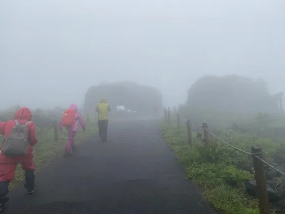 Słownik zachwytów – 15 japońskich słów na drobne chwile, które warto zapamiętać Japoński język pełen jest słów dla chwil, które łatwo przeoczyć. 15 nazw drobnych cudów natury, które pozwalają widzieć więcej.