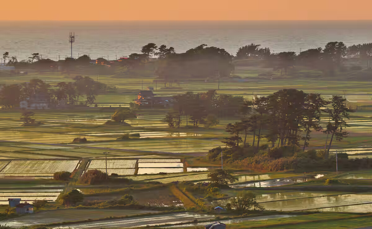 Wąska ścieżka, szeroki oddech. Na północ — w głąb kraju i siebie — z mistrzem Bashō „Oku no hosomichi” Matsuo Bashō jako opowieść o zmęczeniu rolami i o tym, co robi z człowiekiem droga: od Edo po północ Japonii, z haibun i hokku w tle. Esej o zachwycie, dyscyplinie marszu i nietrwałości (mujō)