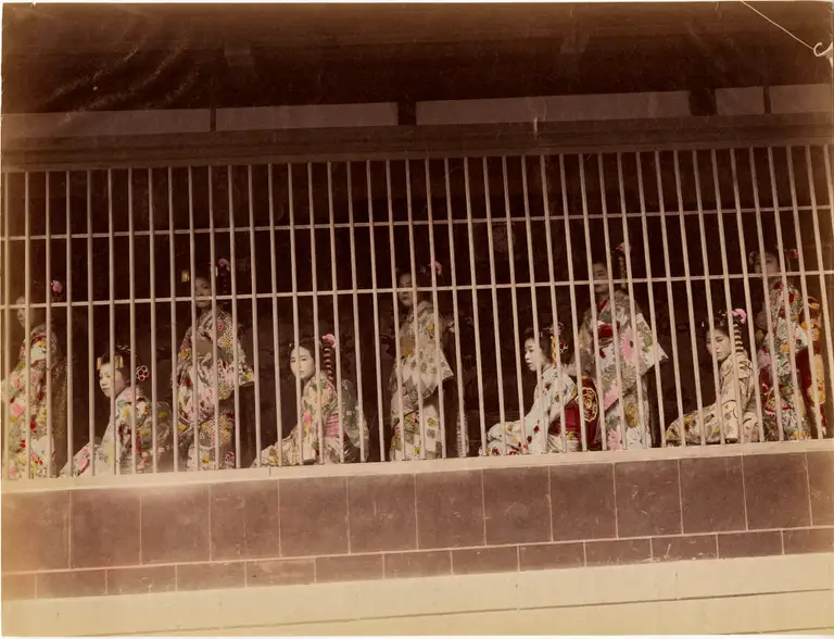 Opowieść młodej Takao z Yoshiwary – bezduszna historia pod powierzchnią pięknej legendy Takao II, słynna tayū z Yoshiwary. Demistyfikacja legendy o miłości i tragedii. Rzeczywistość niewolnej pracy, długu i przemocy w Edo.