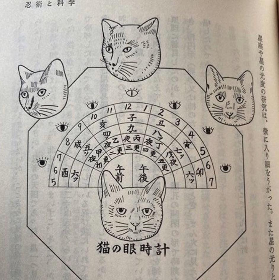 Koty jako żywe zegary w samurajskiej Japonii Sengoku Artykuł o motywie kocim w sztuce ukiyo-e i historii Japonii.