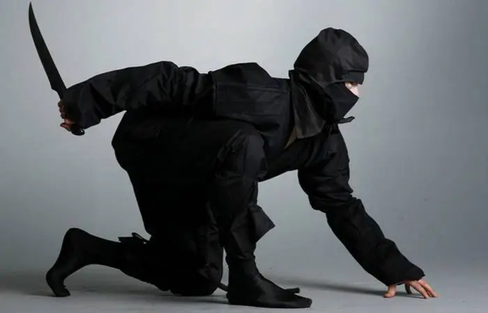Ninja Are Not Just Iga and Kōga – Discover 10 Shinobi Clans from Different Eras and Regions Discover 10 clans and schools of ninja (shinobi) from Japanese history throughout the centuries - from Heian, through sengoku up to Edo. Shinobi are not only Koga and Iga...
