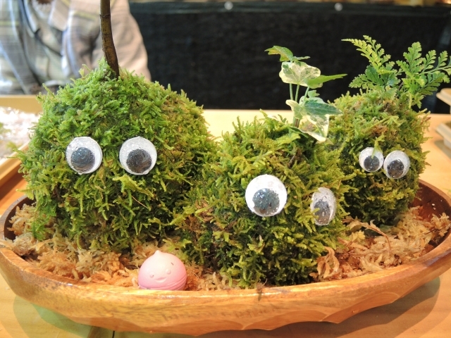 Kokedama – A Tiny Moss Planet That Brings the Forest into Our Concrete Homes The Japanese Art of Moss Balls – Kokedama: How to Bring a Touch of Forest, a Bit of Zen, and a Hint of Japanese Subtlety into Your Home?