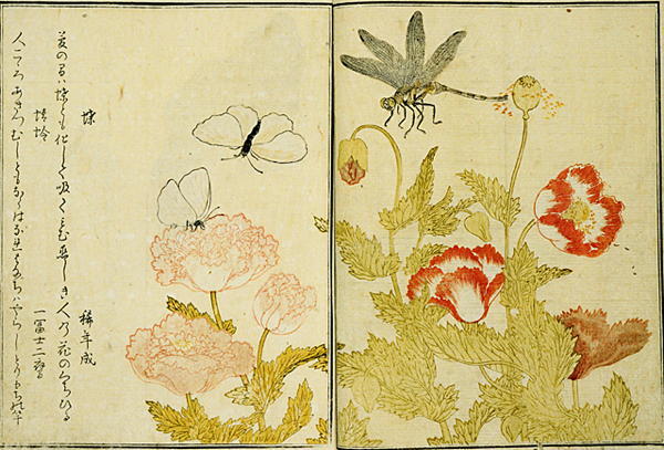 Tworzył czułe piękno, dopadła go kara shōgunatu. Sprawa Kitagawy Utamaro. Historia mistrza ukiyo-e, cenzury w Edo i kary, której prawdziwą bronią nie było okrucieństwo, lecz nieprzewidywalność.