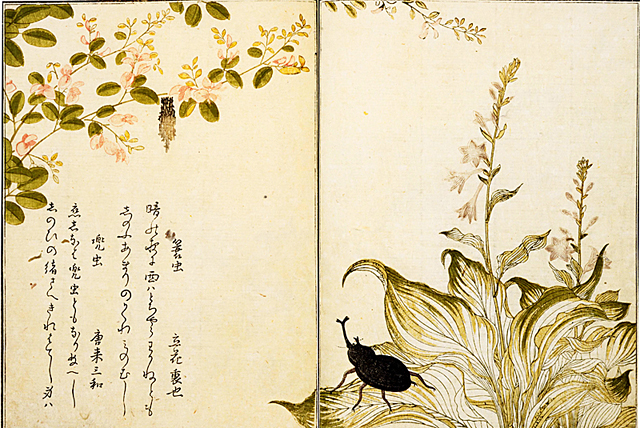 Tworzył czułe piękno, dopadła go kara shōgunatu. Sprawa Kitagawy Utamaro. Historia mistrza ukiyo-e, cenzury w Edo i kary, której prawdziwą bronią nie było okrucieństwo, lecz nieprzewidywalność.