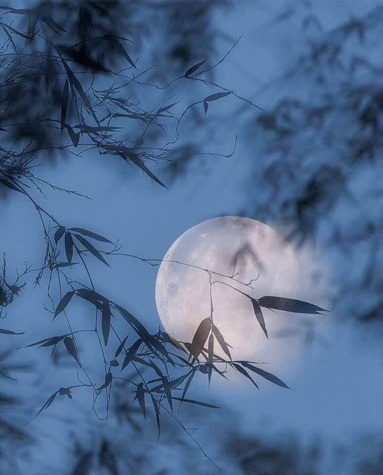 Kan’nen – jak wstrząsająco obce nam jest samurajskie spojrzenie na życie? Kan’nen – samurajska gotowość na śmiertelny cios. Radykalnie antyindywidualny etos, w którym życie podporządkowane było losowi i pustce.
