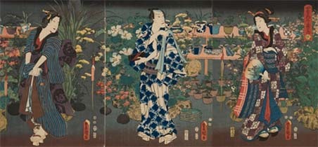 Tsubaki, czyli kamelia - kwiat, którego samuraje się bali czy kochali? Kamelia w Japonii miała być kwiatem przeklętym - opadająca główka kojarzyła się z odciętą głową samuraja. Tę legendę powtarza dziś cały świat. Tyle że w epoce Edo shōgunowie hodowali tysiące odmian kamelii, a samuraje byli głównymi klientami szkółek.