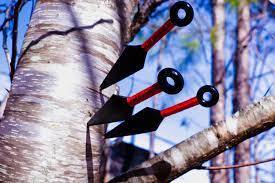 Kodowanie wiatru - techniki tajnej komunikacji szkół ninja w czasie wojen Sengoku Esej o technikach kodowanej komunikacji między oddziałami shinobi na przestrzeni historii Muromachi i Edo Japonii.