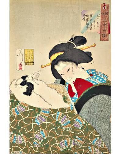 Dawna Japonia na stronie trzeciej. Awantury, oszustwa i nocne perypetie w gazetach epoki Meiji Japonia Meiji z kroniki miejskiej gazet. Dziewczyna wyrzucona z mostu Eitai, kurtyzana gryząca policjanta, rodzina, która zjadła osiemdziesiąt jenów w zupie - perypetie ze strony trzeciej.