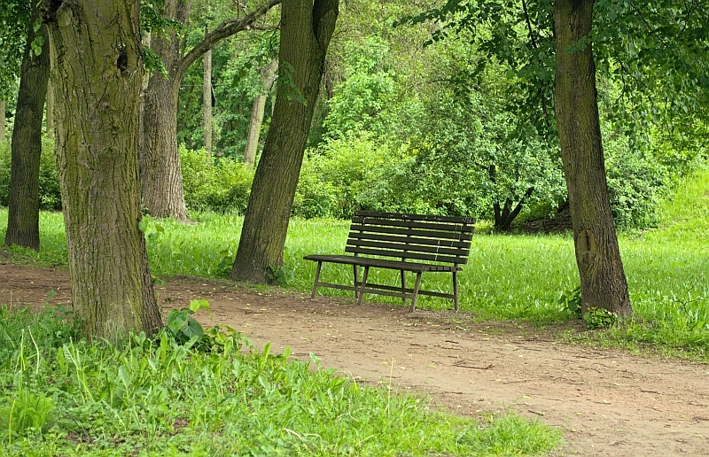 Japanese children know "Hōjōki" by heart – but what can we learn from a monk of the 13th century? "Hōjōki" by Kamo no Chōmei – a Japanese life lesson from 800 years ago, still present in schools. Discover what it can teach us today.