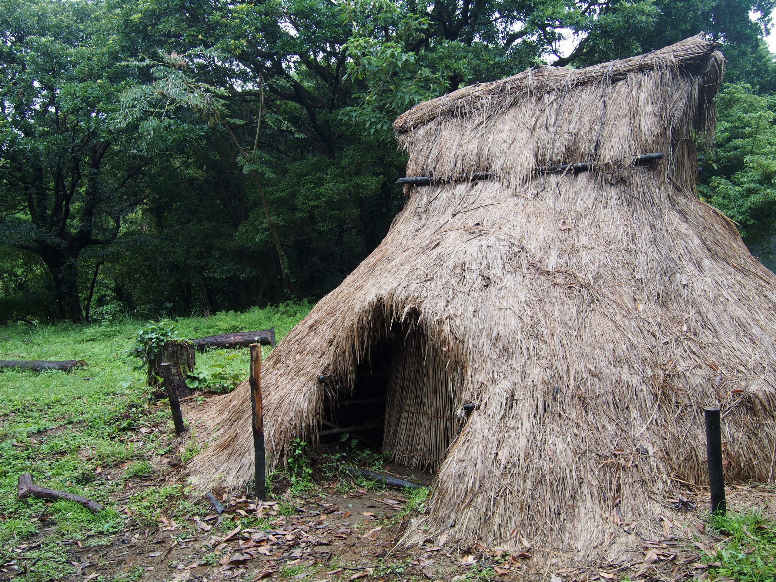 Pierwotne chatki mieszkańców Yakushimy w Japonii. Artykuł o japońskiej wyspie Yakushima, gdzie odnajdziemy pradawną naturę Japonii, inspirację anime "Księżniczka Mononoke" (Mononoke Hime( Hayao Miyazakiego.