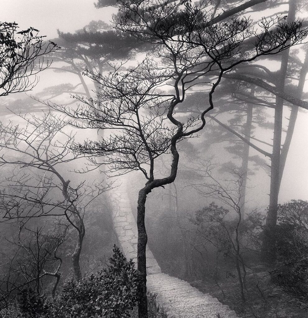 Gdy coś już znikło, ale jeszcze nie przystało istnieć. Yūgen – japońska estetyka zawieszenia. Yūgen – japońska estetyka półcienia i tajemnicy. O ukrytym pięknie, które istnieje między znikaniem a trwaniem, w sztuce, literaturze i codzienności.