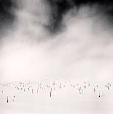 The Tradition of Kōans in Japan – A Zen Practice That Doesn’t Give Answers, But Takes Them Away Kōans in the Tradition of Japanese Zen Based on the Writings in the Shasekishū. What Are Kōans, and What Can They Give Us — and Take Away?