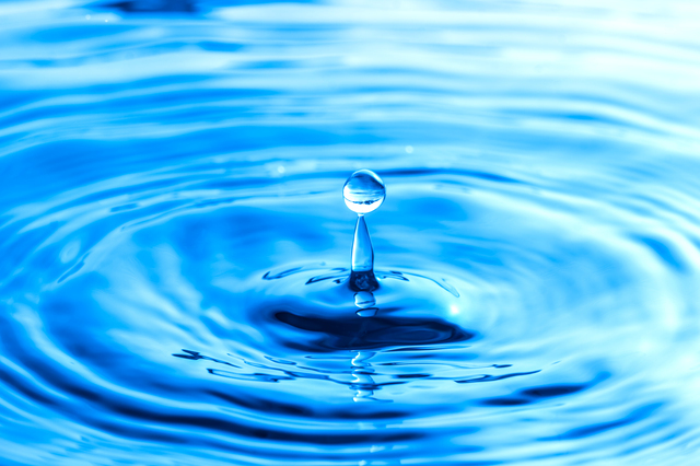 Skrzypienie podłogi, echo kroków na klatce schodowej, tykanie zegara - japońska sztuka uważnego słuchania „kaze no oto” Poznaj japońską sztukę słuchania kaze no oto – subtelnych dźwięków codzienności, które uczą uważności, spokoju i życia w chwili obecnej.