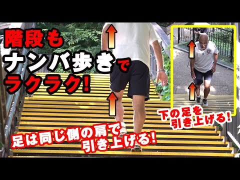 Niezawodni kurierzy shogunatu - Hikyaku i rynek przewoźników średniowiecznej Japonii Poznaj świat hikyaku – niezawodnych kurierów shōgunatu. Historia, techniki, stroje i rynek przewoźników w feudalnej Japonii epoki Edo i wcześniej.