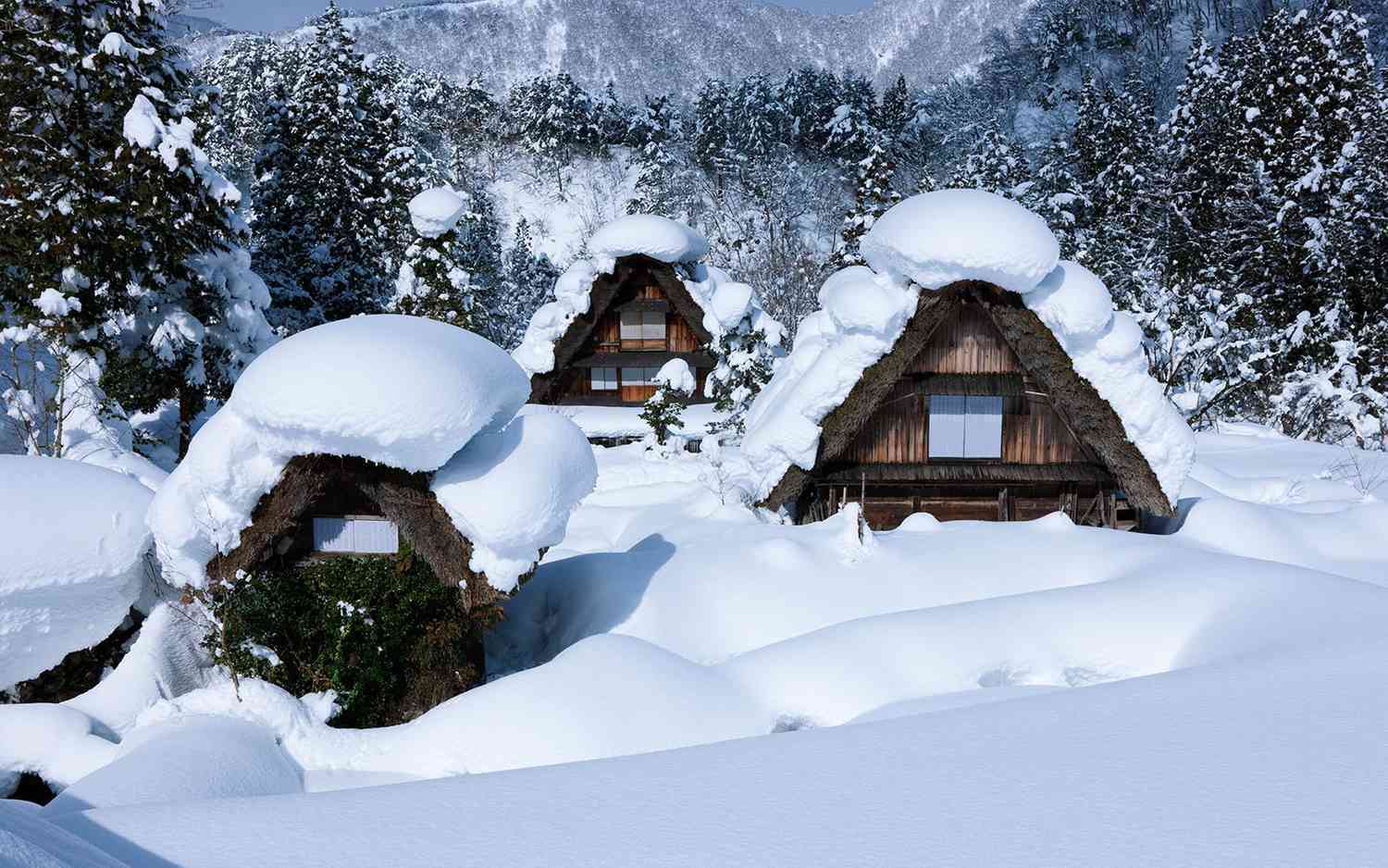 Winter Whispering Dreams: 10 Names for Snow in the Japanese Language 10 names for snow in Japanese language - how snow can be a space for thought, meditation and mono no aware feelings.