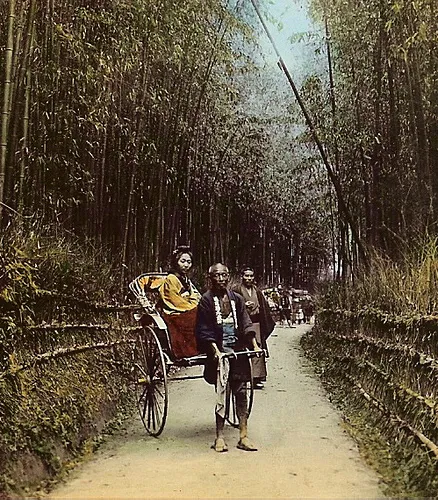 Nikki Kodo - zdjęcie z czasów Meiji Jak Japończycy słuchają drzew? - Relacja między człowiekiem a drzewami w sztuce ukiyo-e i japońskiej kulturze.