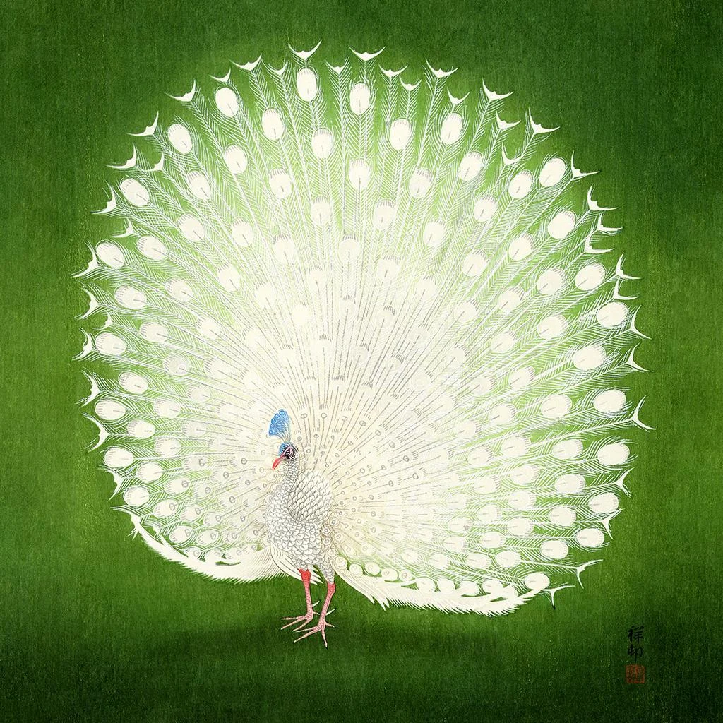 20 Kacho-e Ohary Kosona - galeria japońskich drzeworytów ukiyo-e wraz z rzetelnym opisem Drzeworyty kacho-e ptaków, kwiatów, zwierząt mistrza Ohary Kosona, japońska sztuka na ukiyo-japan.pl