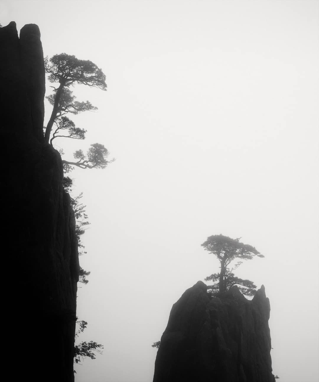 Gdy coś już znikło, ale jeszcze nie przystało istnieć. Yūgen – japońska estetyka zawieszenia. Yūgen – japońska estetyka półcienia i tajemnicy. O ukrytym pięknie, które istnieje między znikaniem a trwaniem, w sztuce, literaturze i codzienności.
