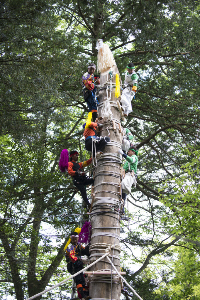 Święty filar, Suwa Japoński festiwal Onbashira matsuri - ryzykując życiem i zdrowiem w festiwalu dziekiej odwagi i brawury w Suwa, Nagano.