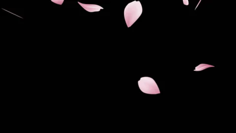 Opadające płatki sakury Japoński znak kanji 櫻 ("sakura") - czego możemy się nauczyć o japońskim spojrzeniu na świat ze znaku kanji na kwiat wiśni?